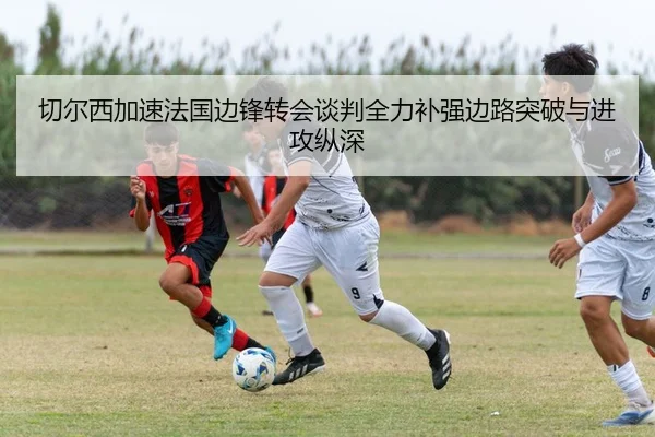 img_1784029580866_85_1_642.jpg